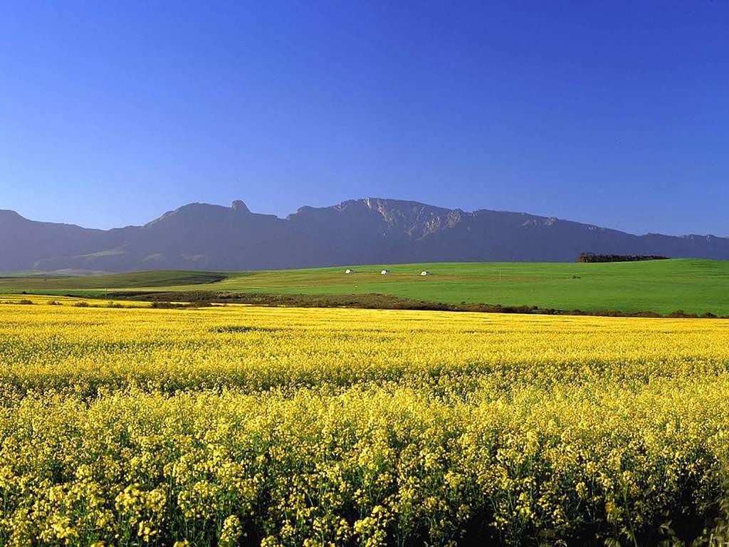 The Swellengrebel Hotel Swellendam Luaran gambar