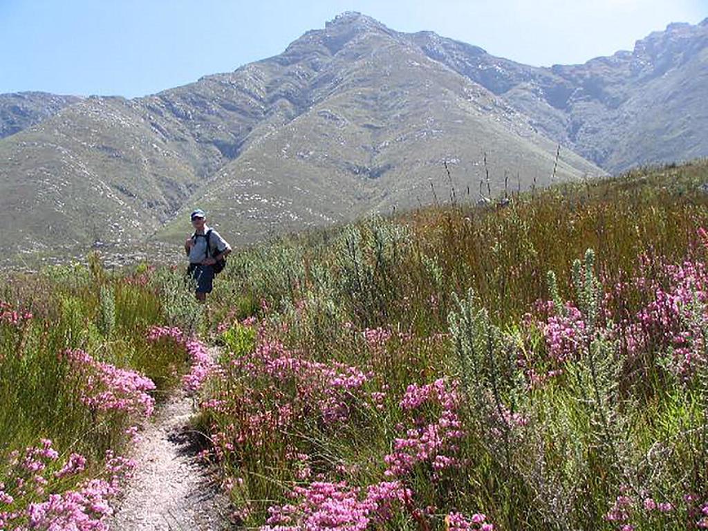 The Swellengrebel Hotel Swellendam Luaran gambar